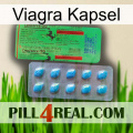 Viagra Capsule new03
